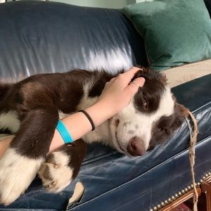 Meet your Posher, Bekah